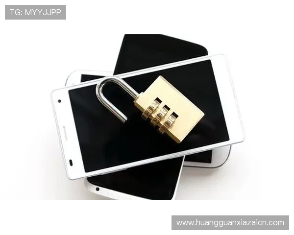 如何安全高效进行赛马会手机版会员登录，确保账号信息安全与个人隐私保护